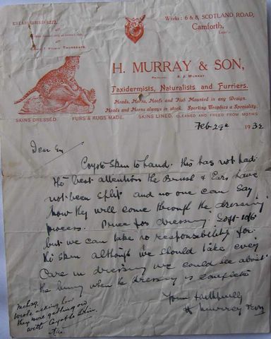 murrayletterhead [640x480].jpg